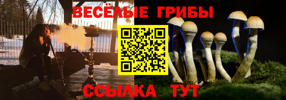 Озёрск  Галлюциногенные грибы мицелий  Вход с VPN 